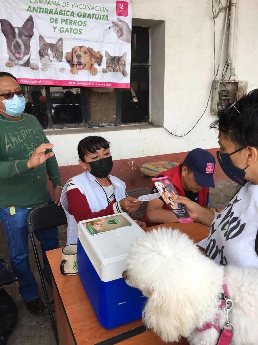 Cero rabia; pero es obligado vacunar a los perros
