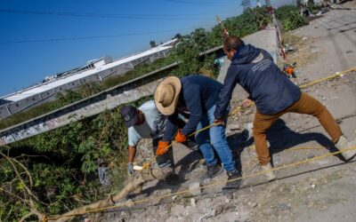 Retiran 90 toneladas de basura del Canal de la Compañía