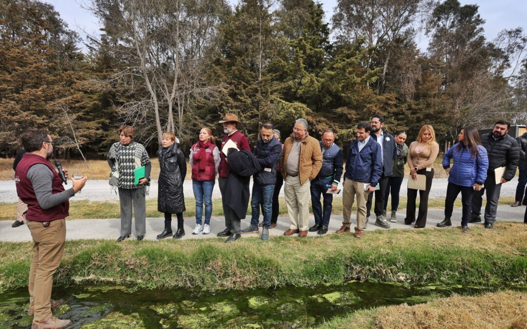 Con la recuperación de humedales se podrá atender escasez de agua: DGA