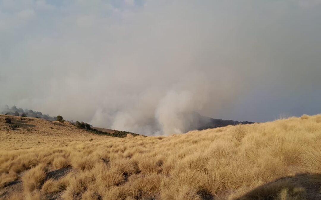 Cerrado al turismo el parque Izta-Popo por incendio