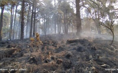 A una semana, continúa incendio en el Izta-Popo 