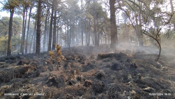 A una semana, continúa incendio en el Izta-Popo 