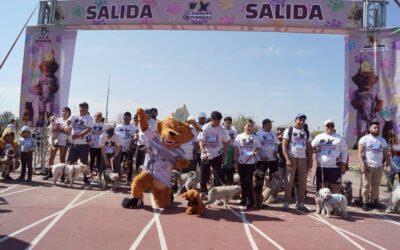 “Carrera +Perrona 2025” previene sobre abandono animal