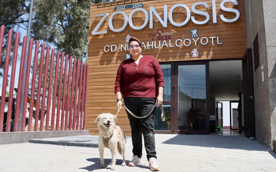 Realizarán Jornada Masiva de Esterilización para evitar sobrepoblación de perros