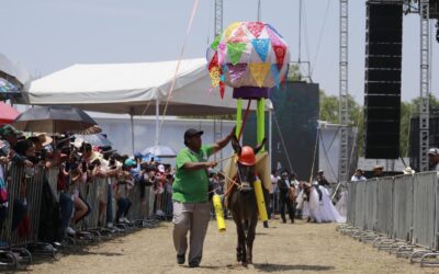Realizarán la Feria Nacional del Burro en Otumba