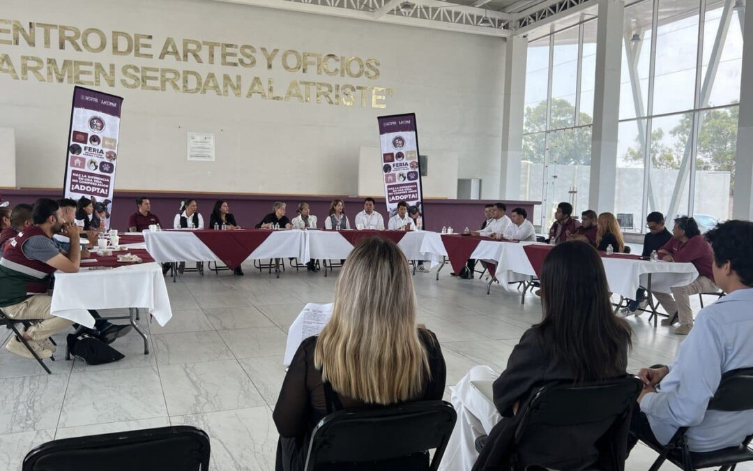 El Estado de México espera reducir  sobrepoblación de perros en situación de calle