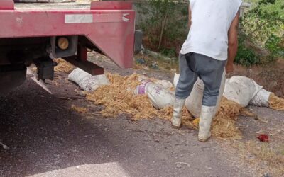 Detienen a cinco sujetos por arrojar basura en la vía pública