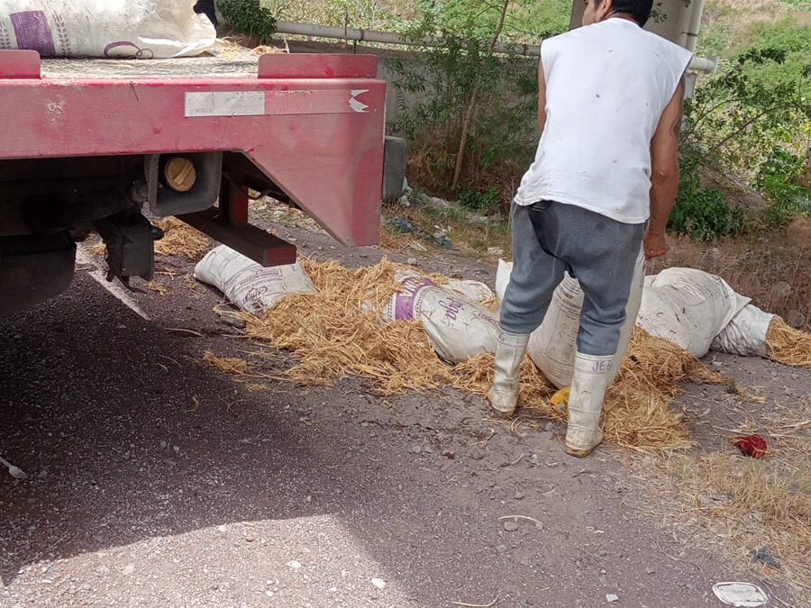 Detienen a cinco sujetos por arrojar basura en la vía pública