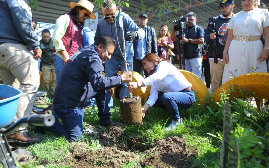 Con programa Huertos Frutales, siembran vida en escuelas del EdoMéx