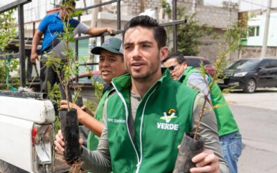 Arranca Couttolenc reforestación en el  EdoMéx; la meta es plantar 750 mil árboles