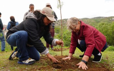 Participan CONAGUA y Chapingo en reforestación de áreas verdes en La Paz