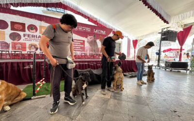 Promueven animales en adopción en La Paz