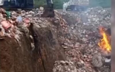 incineran 700 toneladas de abarrotes de bodega infestada por roedores