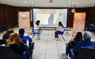 Se mantiene Alerta de Violencia de Género y Desapariciones en el EdoMéx