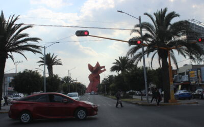 Muere perrito por explosión de cohetón en Neza; ubican a posible responsable