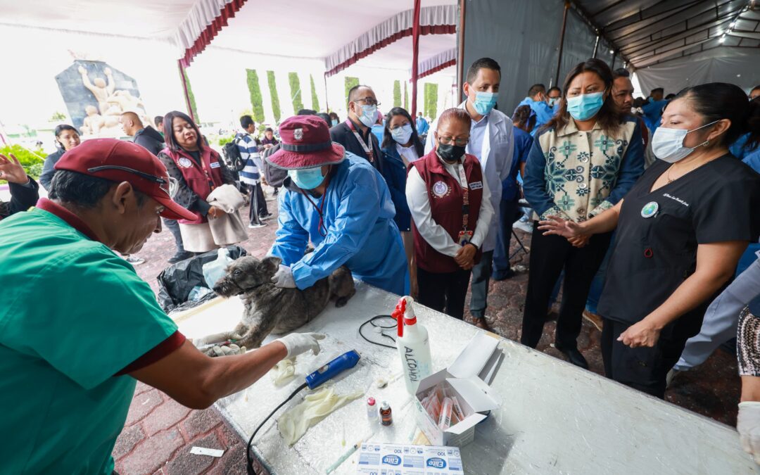 Chimalhuacán, 1er lugar en esterilizaciones caninas en el EdoMéx