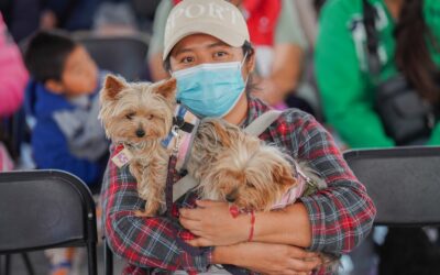 CEPANAF y La Paz mejoran salud y controlan población de mascotas