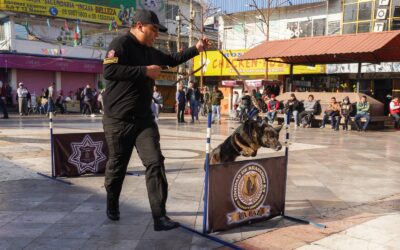 Caninos de la Unidad K9 participarán en el “Mochila Segura” y transporte público en La Paz