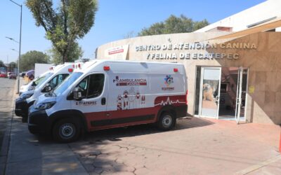 Presentan dos ambulancias con quirófano para rescate y atención de animales ecatepenses
