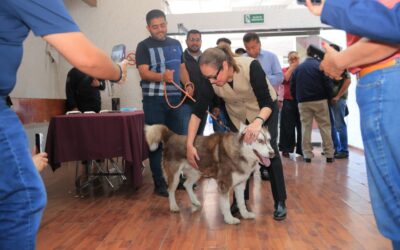 Gobierno ecatepense anuncia la Semana del Bienestar Animal para reducir la sobrepoblación y maltrato 