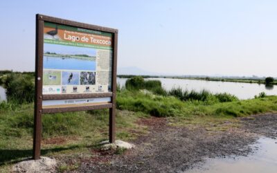 El Caracol de Ecatepec propiciará la recarga de agua en la ZMVM