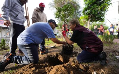 Arrancamos acciones de reforestación; es lo que más necesita nuestro municipio: MGS