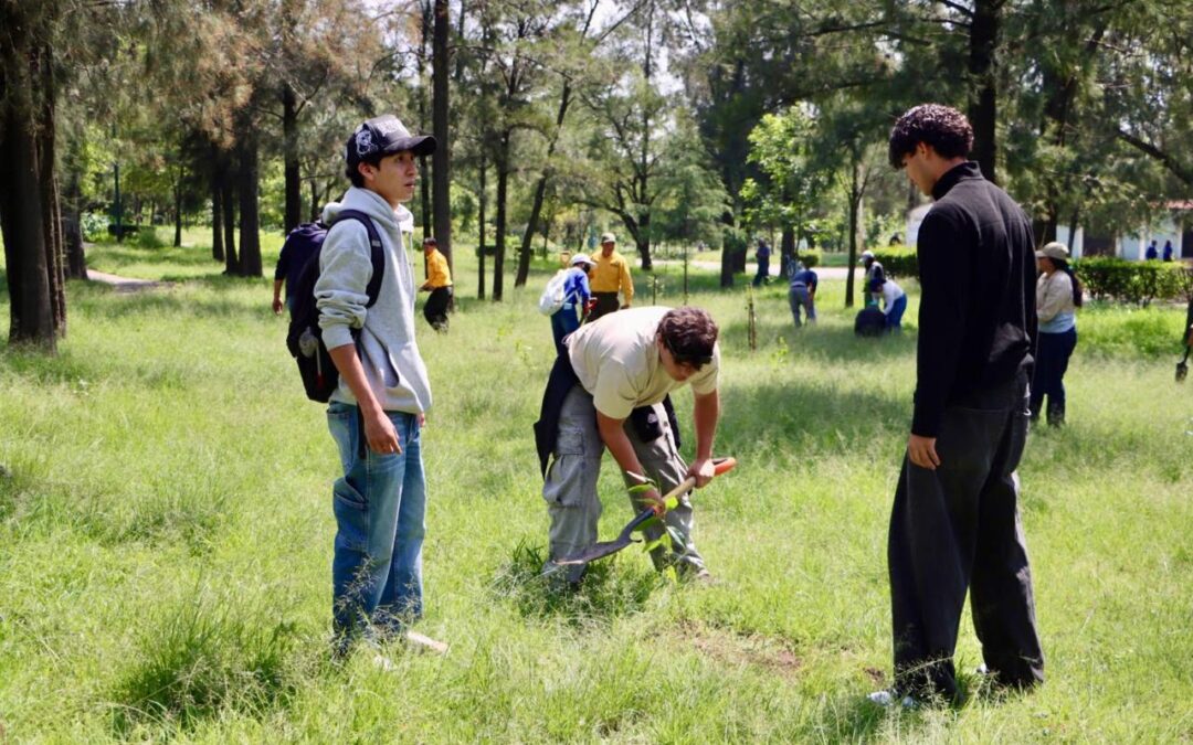 Siembra EdoMéx 7, 866 árboles en honor a las niñas y niños nacidos en Izcalli