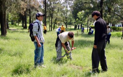 Siembra EdoMéx 7, 866 árboles en honor a las niñas y niños nacidos en Izcalli
