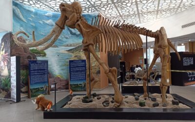 El Museo de Vestigios Arqueológicos resguarda la memoria histórica de Ecatepec
