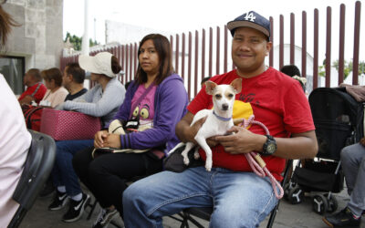 Programa, “Adopta, no compres”, entrega a familias 100 perritos y gatitos