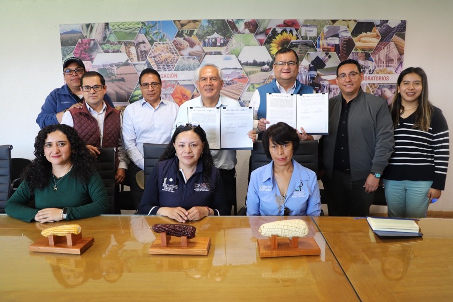 Gobierno del EdoMéx y COLPOS se unen para proteger el amaranto y maíz nativo mexiquense