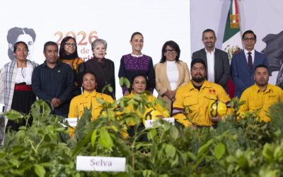 En la Jornada Nacional de Reforestación 2026 se plantarán 6.6 millones de árboles