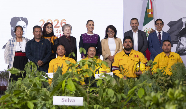 En la Jornada Nacional de Reforestación 2026 se plantarán 6.6 millones de árboles