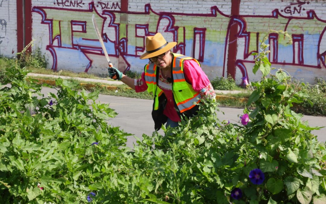 CC: Ecatepec se ve más limpio; alcaldesa al encabezar jornada de limpieza en el Chamizal 