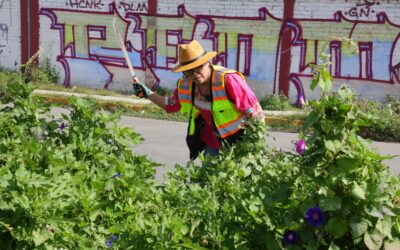 CC: Ecatepec se ve más limpio; alcaldesa al encabezar jornada de limpieza en el Chamizal