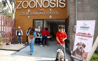 Adopción, vacunación antirrábica y valoración médica en la Feria de los Seres Sintientes 2026