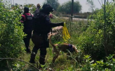 Chimalhuacán participa con binomios caninos en búsqueda de personas en Chalco y Valle de Chalco