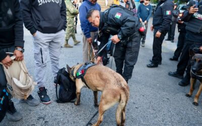 Poli de Ecatepec y Marina refuerzan vigilancia en transporte y revisan motocicletas